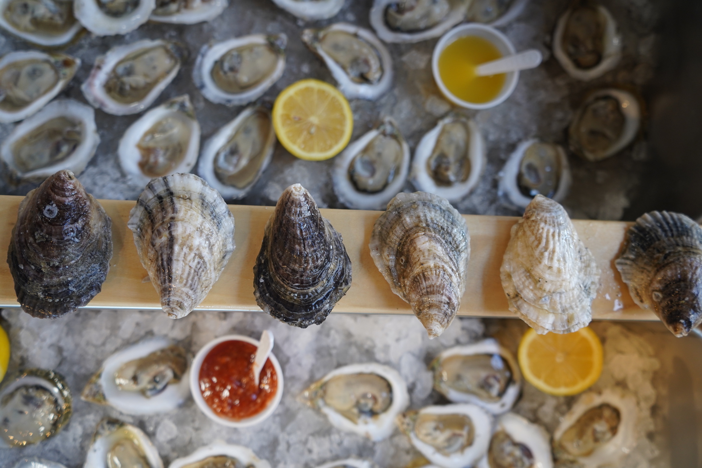 clear water oyster garden restaurant bulk order