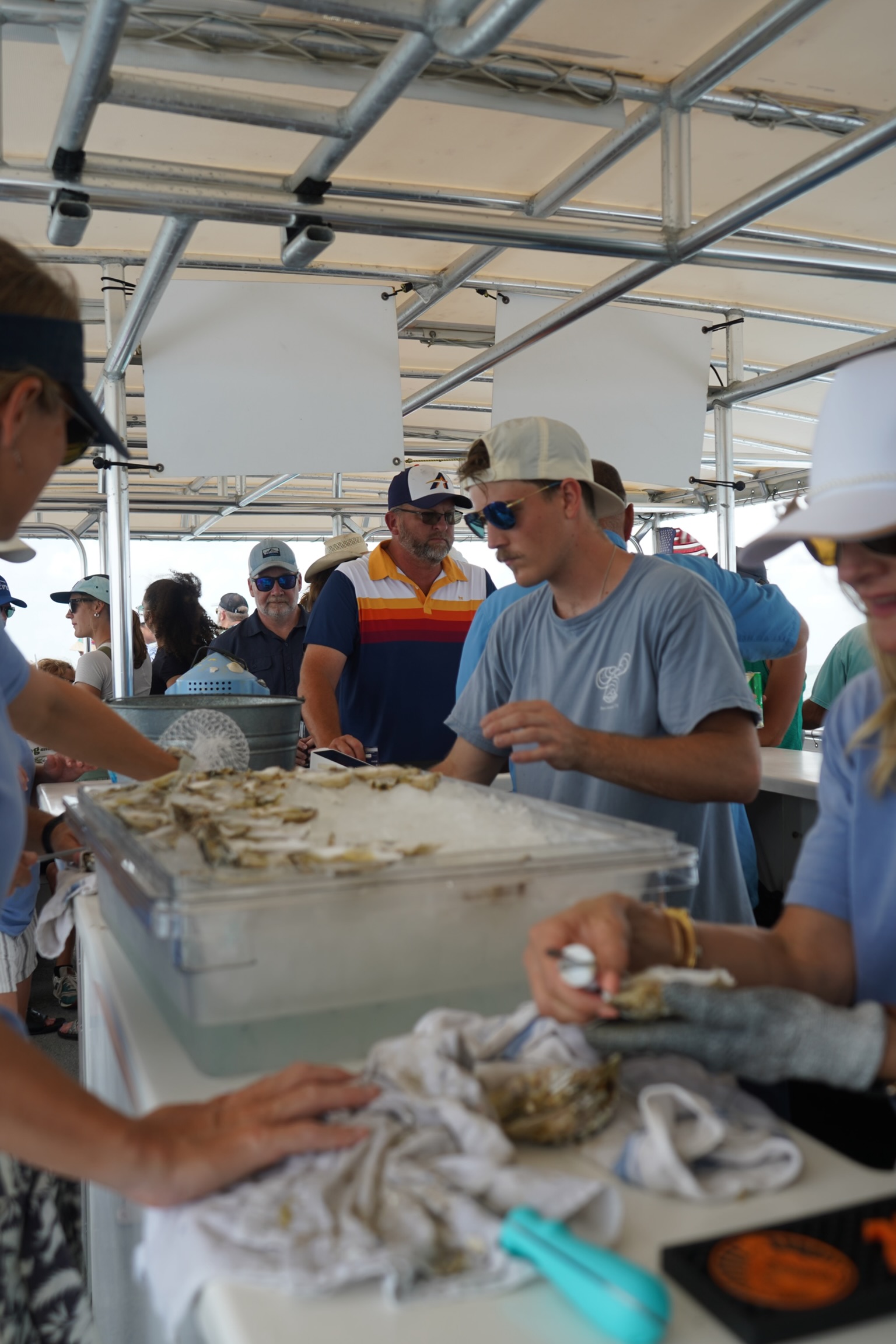 sip and shuck oyster farm tour